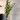 PTMD Deko-FERN PLANT L PTMD Deko-FERN PLANT L