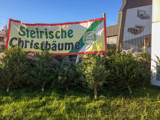 Weihnachtsbaum Verkauf 04 Weihnachtsbaum Verkauf 04