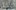 202285-GRAUE- 202285-GRAUE-