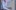 Ing. Gernot Bjerregaard-Trinker.jpg Ing. Gernot Bjerregaard-Trinker.jpg
