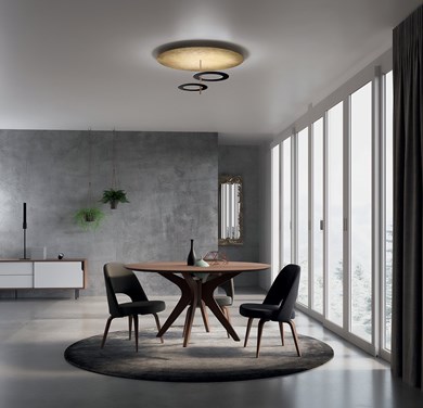 © ICHULAHOOPP2F_1.jpg