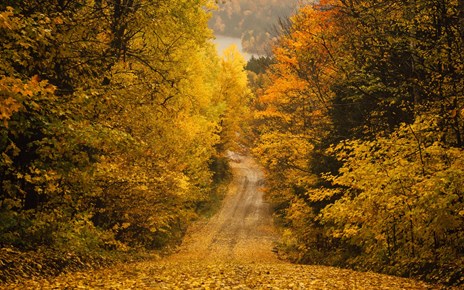 Inspiriert von der Natur Inspiriert von der Natur