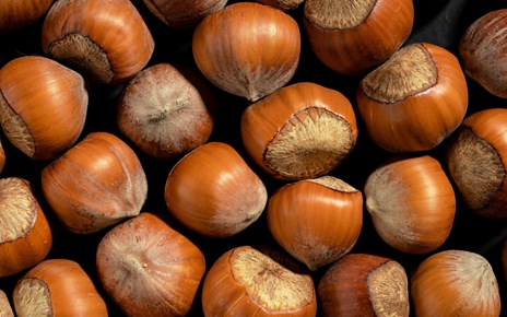 Rotbraune Kastanien Rotbraune Kastanien