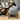 ROLF BENZ 644 ROLF BENZ 644
