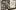 HALIVING HALIVING