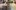 CAMEO-40-1-CH CAMEO-40-1-CH
