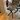 DRAENERT MORTIMER 1085 DRAENERT MORTIMER 1085