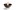 HOET100101 HOET100101