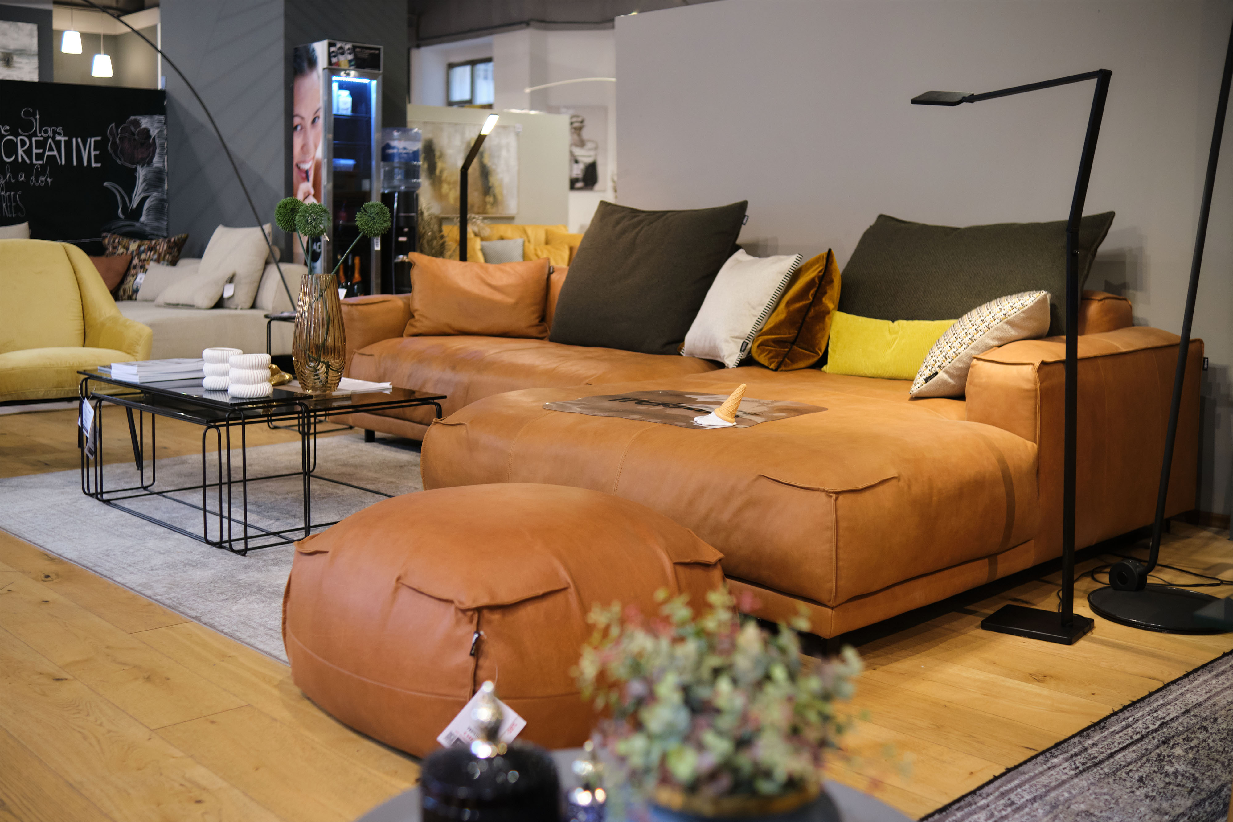 freistil ROLF BENZ & Schlafsofa Store Wien