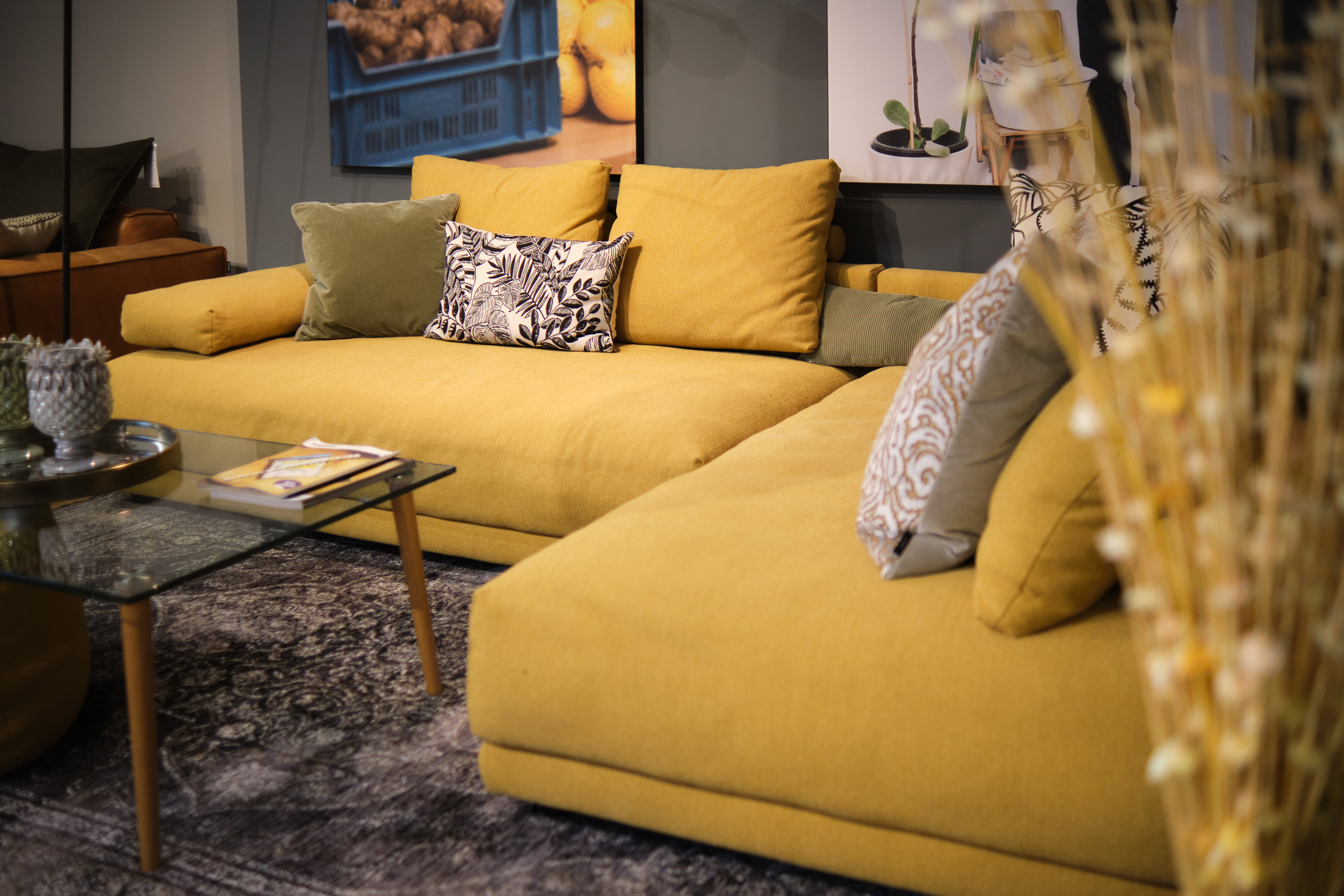 freistil ROLF BENZ & Schlafsofa Store Wien