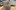 173-6331-BUNT