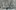 202285-GRAUE-