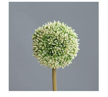 &copy; 52243-01_2.JPG