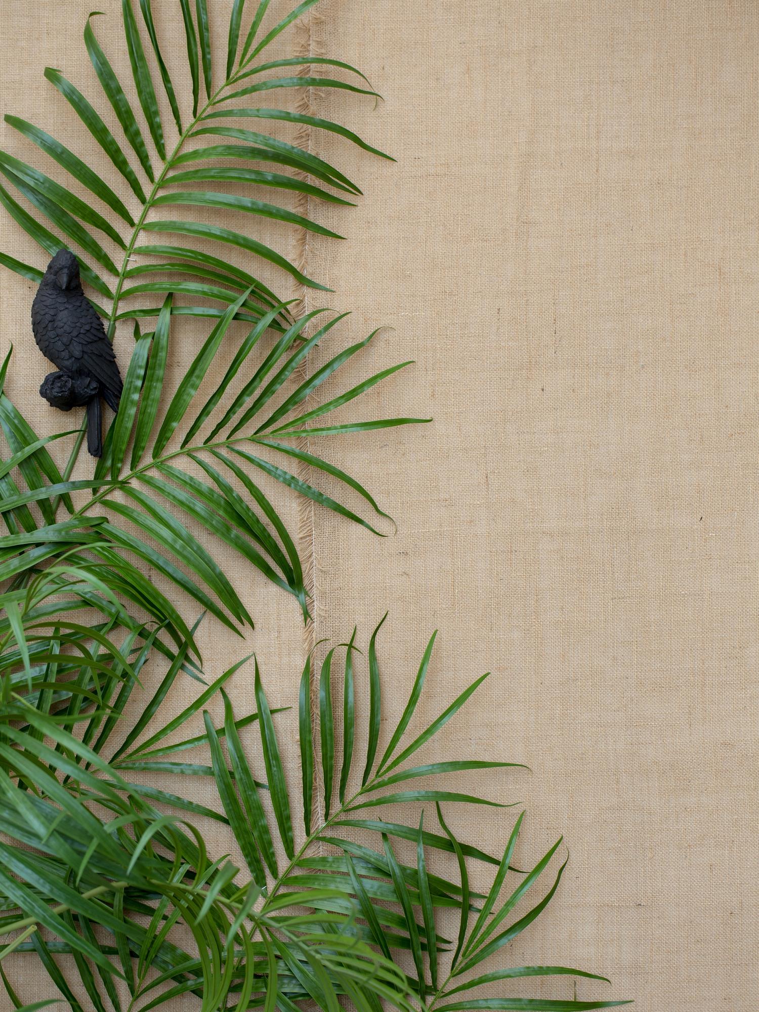 &copy; A00005672_2.jpg