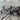 BULLFROG Kissen OD966