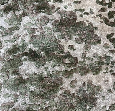 © CKMARBELGREIG_1.JPG