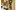 FLUX_154_FLX1