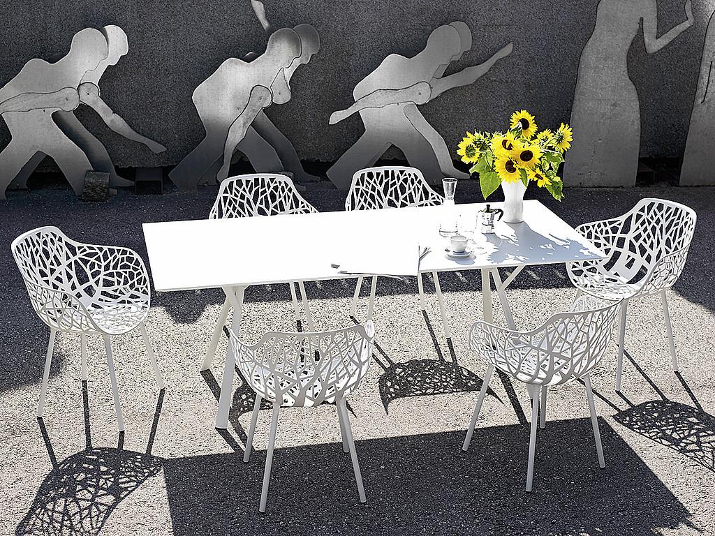 &copy; FOREST-MIT-A_1.jpg