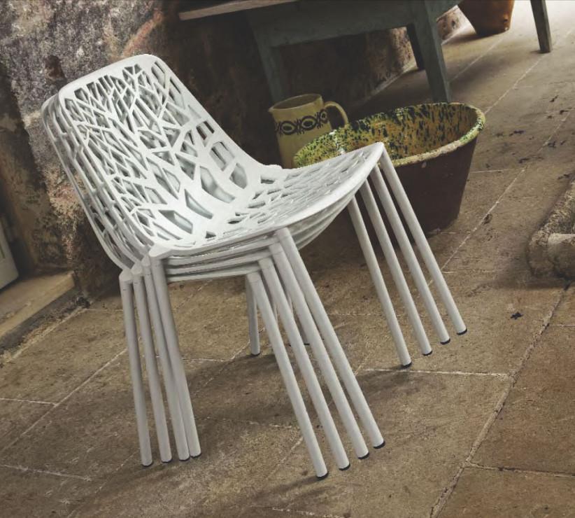 &copy; FOREST-OHNE-A_2.jpg