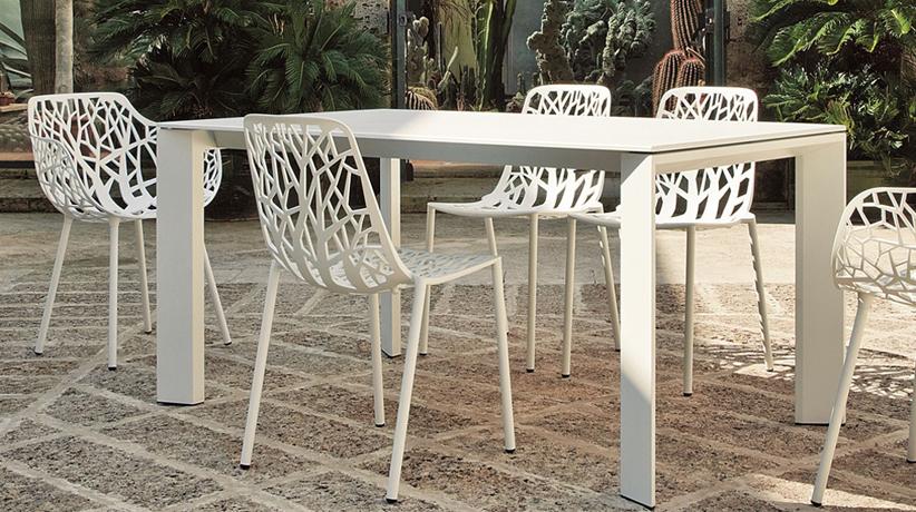 &copy; FOREST-OHNE-A_3.jpg