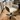 FREIFRAU LEYA ARMCHAIR HIGH