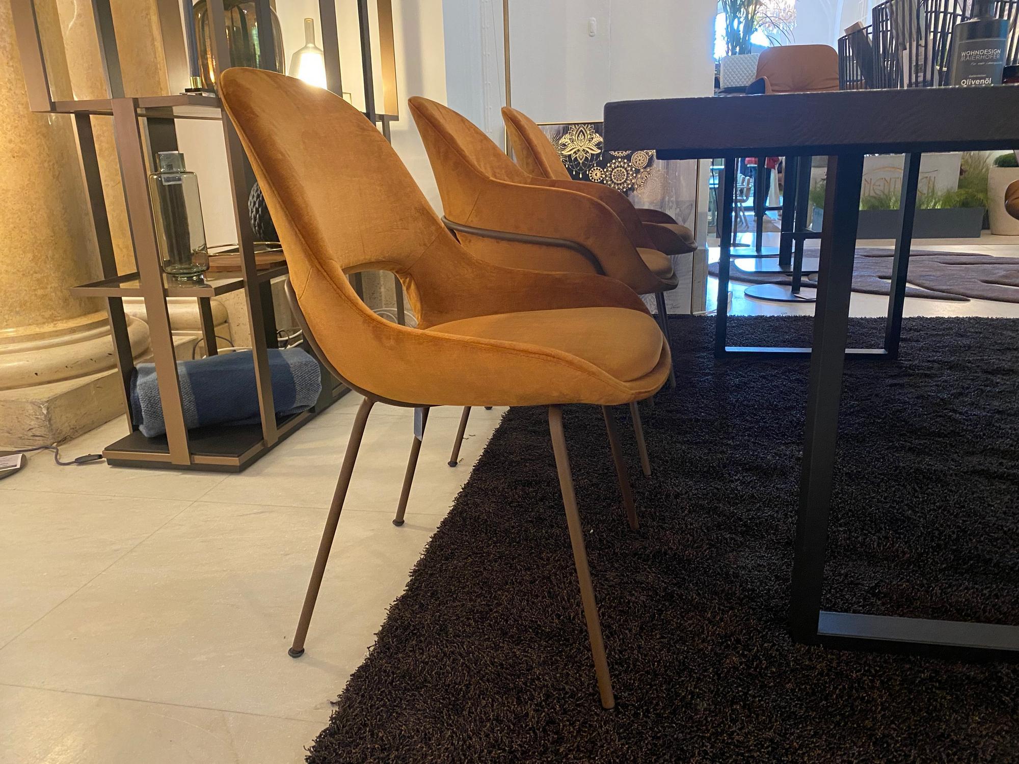 &copy; FRTHEIAHAVA_2.JPG