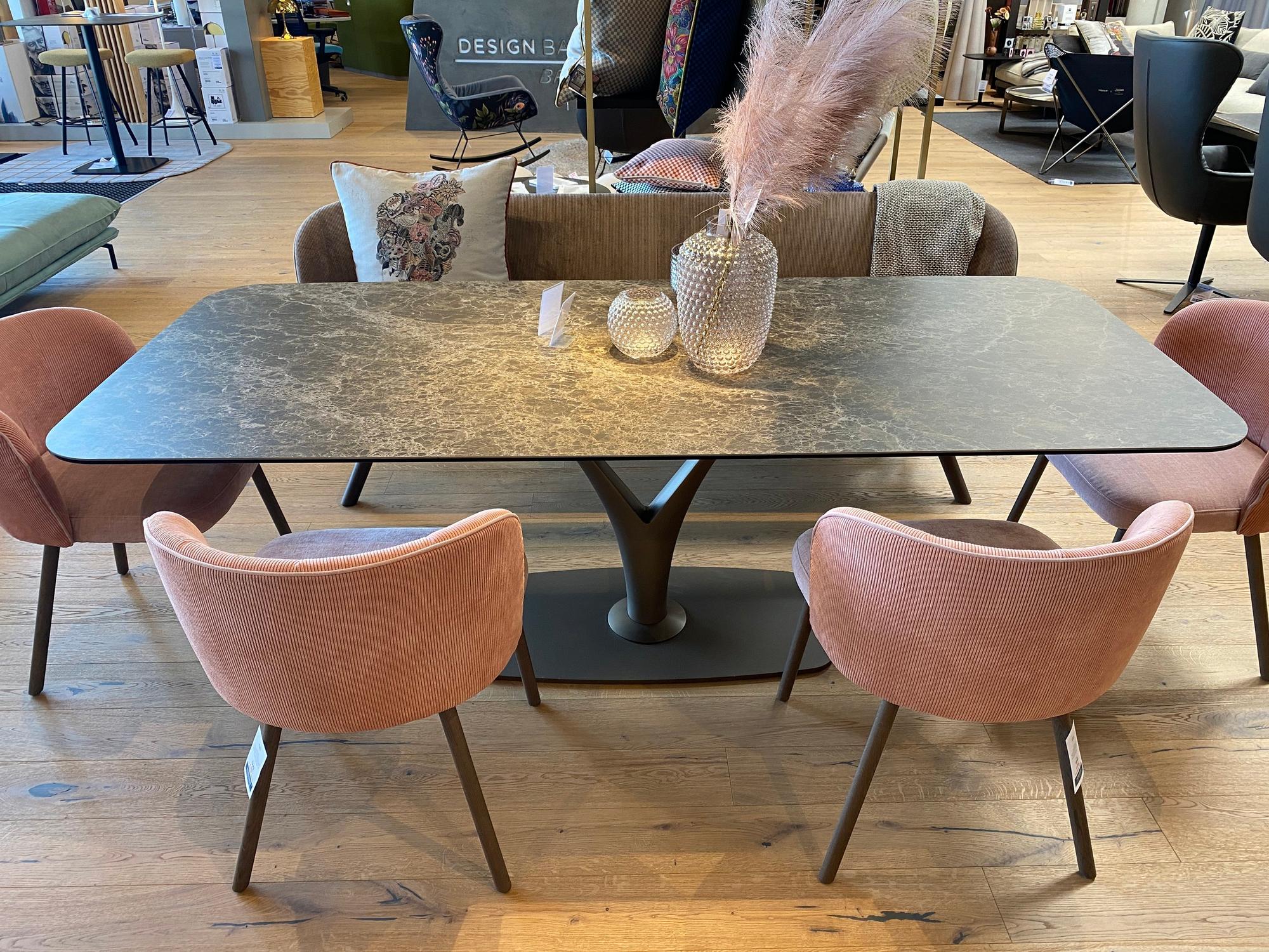 &copy; HAS81ROSE_3.JPG