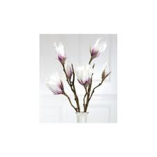 GILDE MAGNOLIENZWEIG