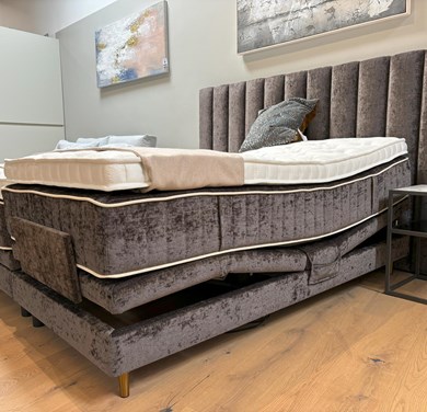 © LMOCEANFOSSIL_2.jpg