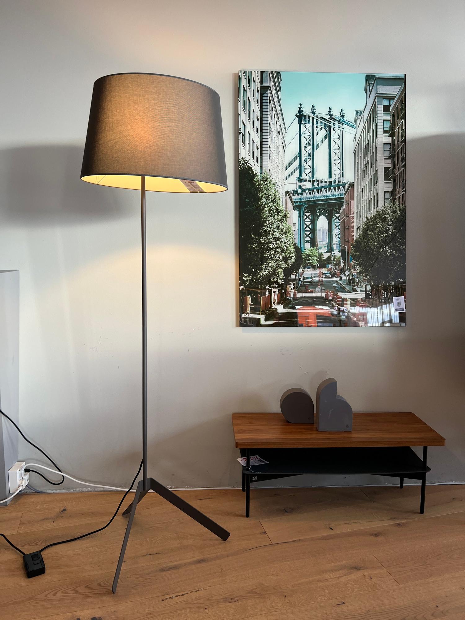 &copy; MLBIVIOSTEHBR_1.JPG