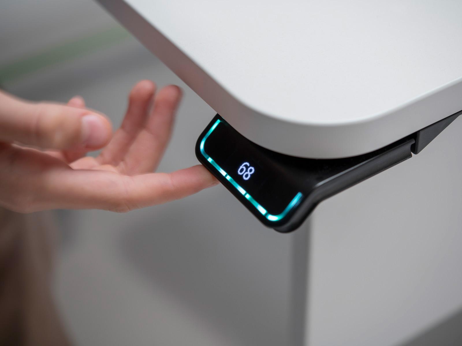 &copy; MOLLECHAMPION_1.jpg