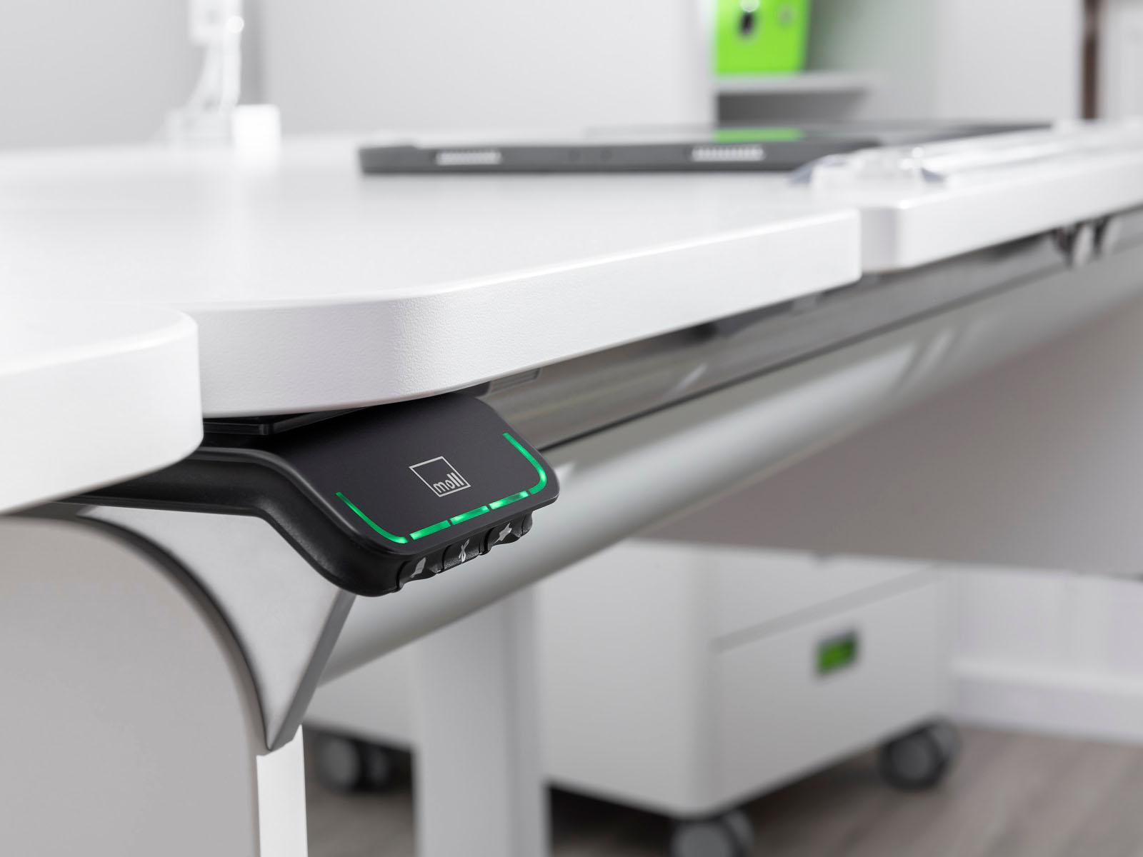 &copy; MOLLECHAMPION_2.jpg