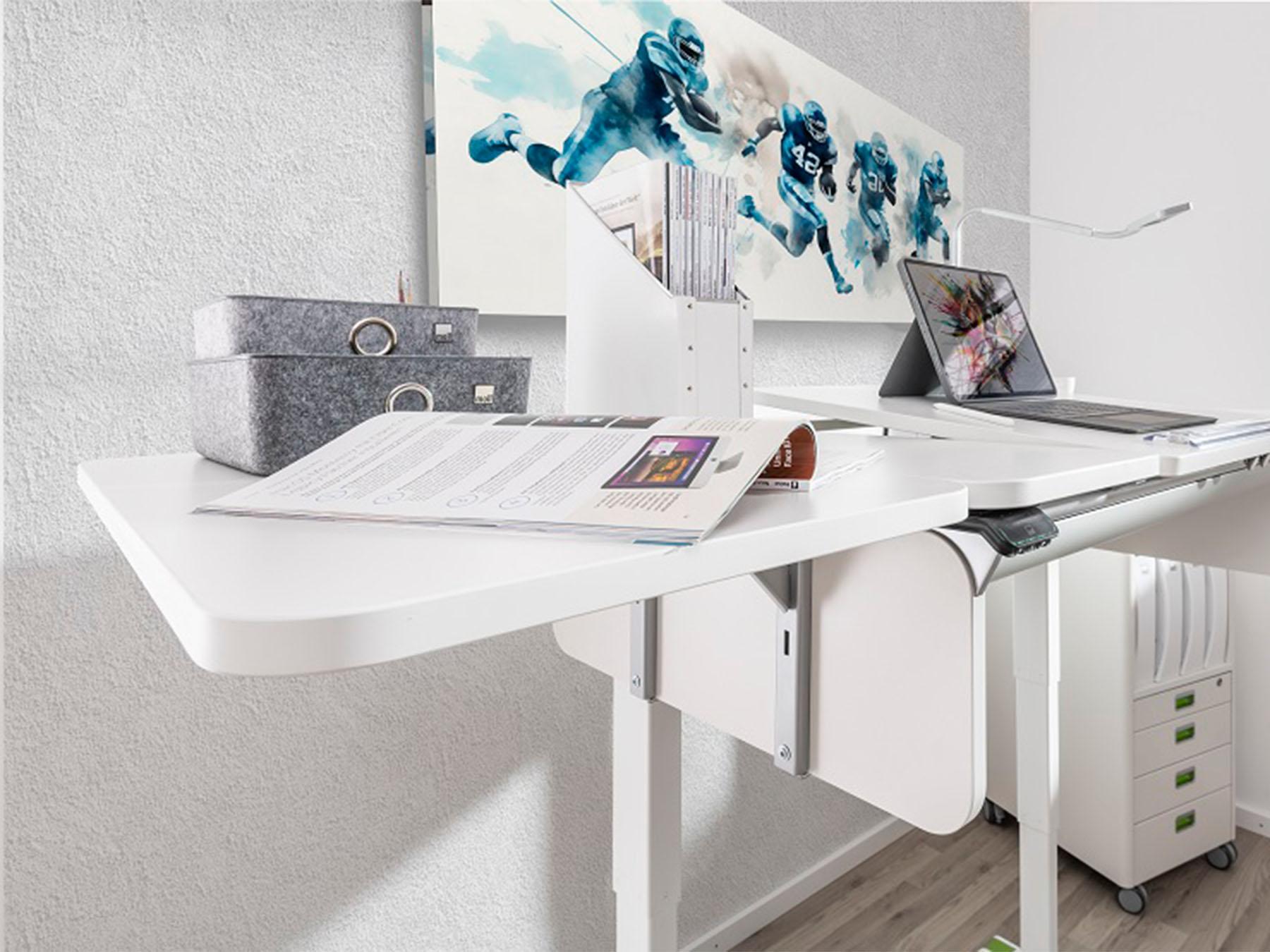 &copy; MOLLECHAMPION_4.jpg