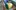 PALLONE-LILL-