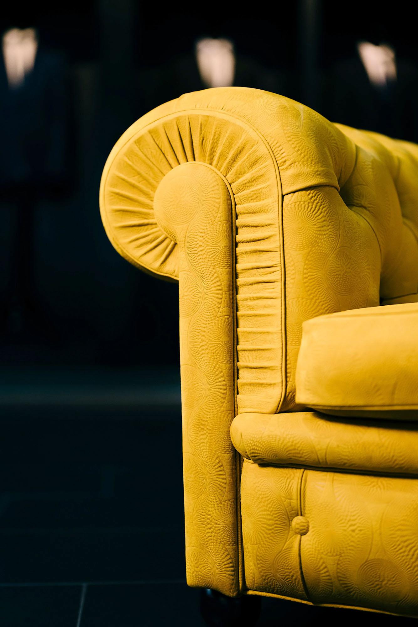 &copy; PFCHESTERAMBR_1.jpg