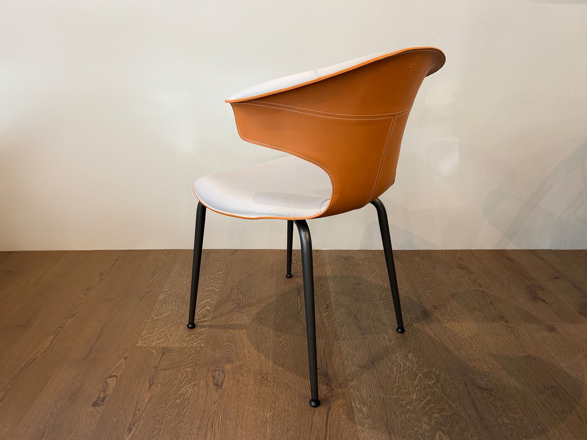 &copy; PFMONTERA23_1.jpg