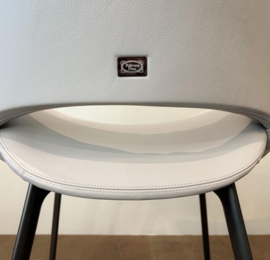 © PFNICE23TORTO_1.jpg