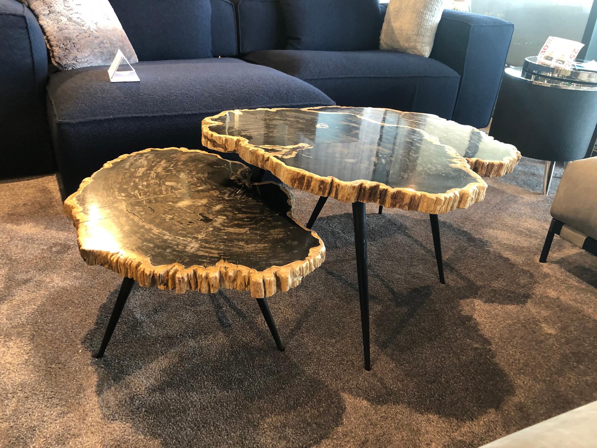 &copy; PT694251_1.jpg