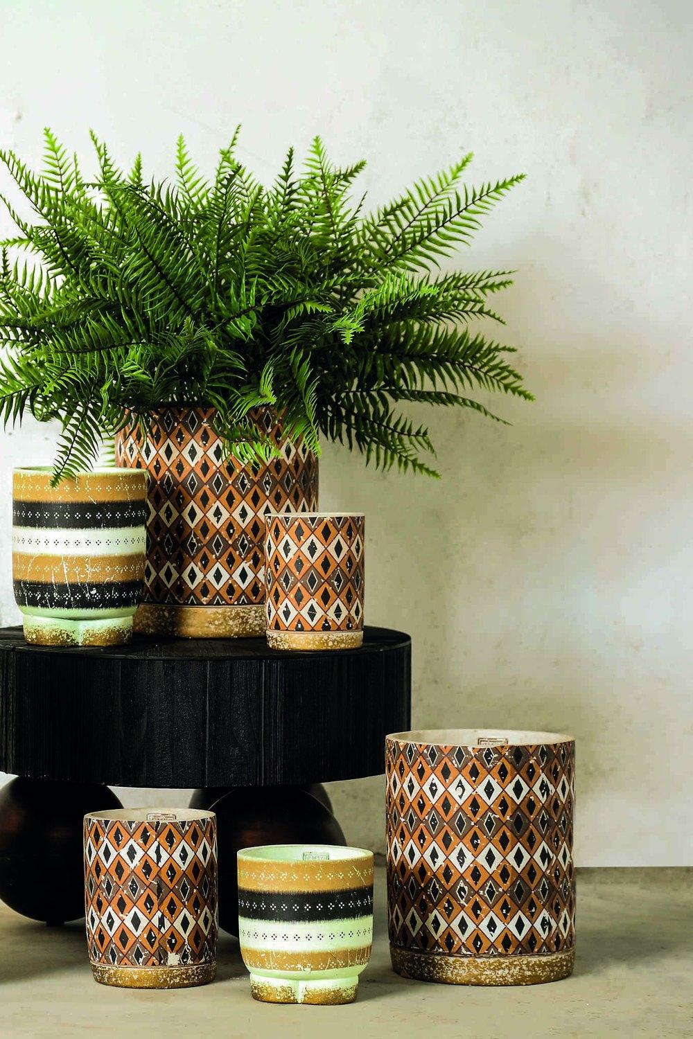 &copy; PTMD720190_1.jpg