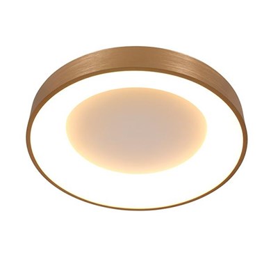 © STEIN2563GO_1.jpg