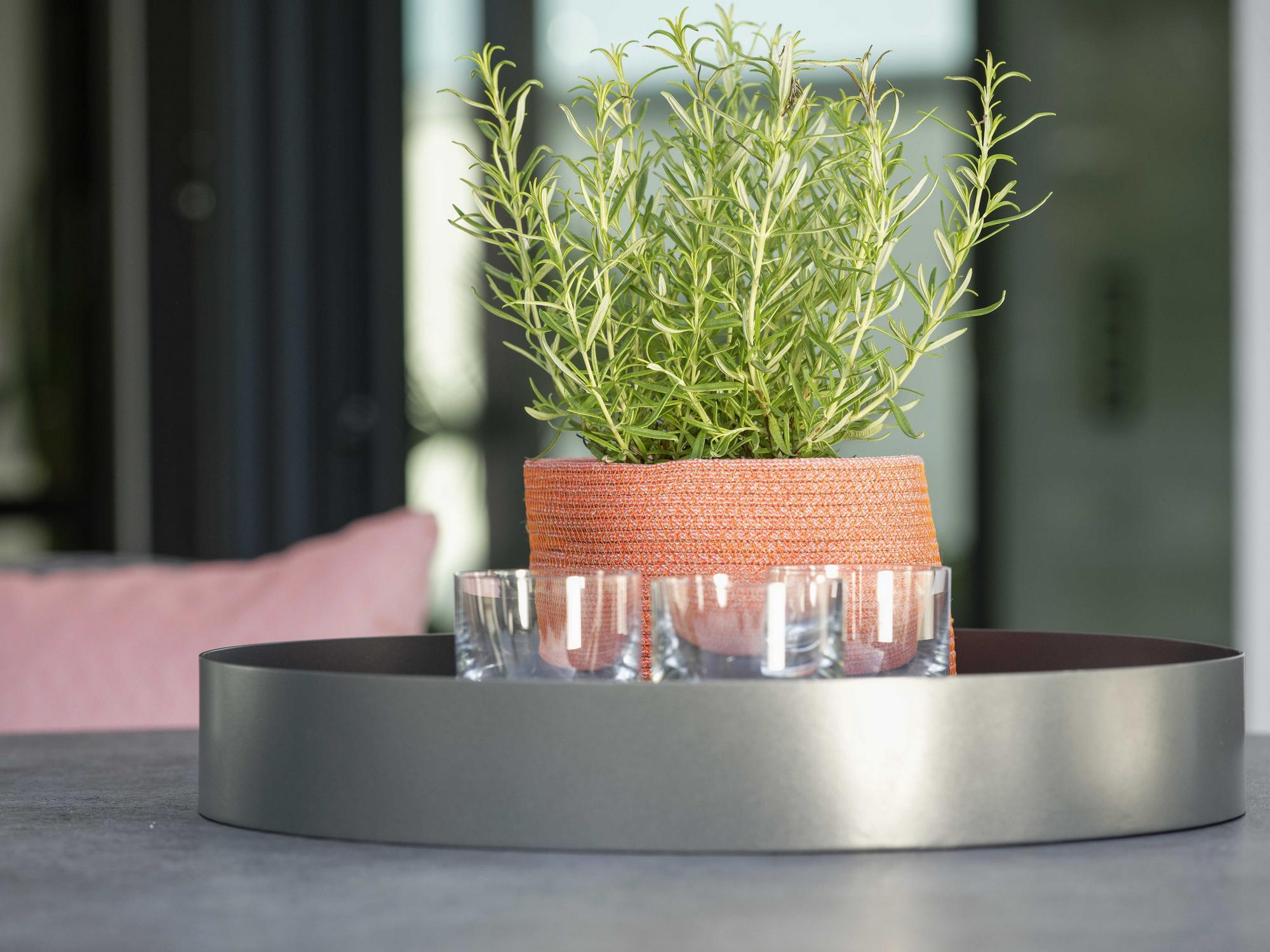 &copy; STERN410124_1.jpg