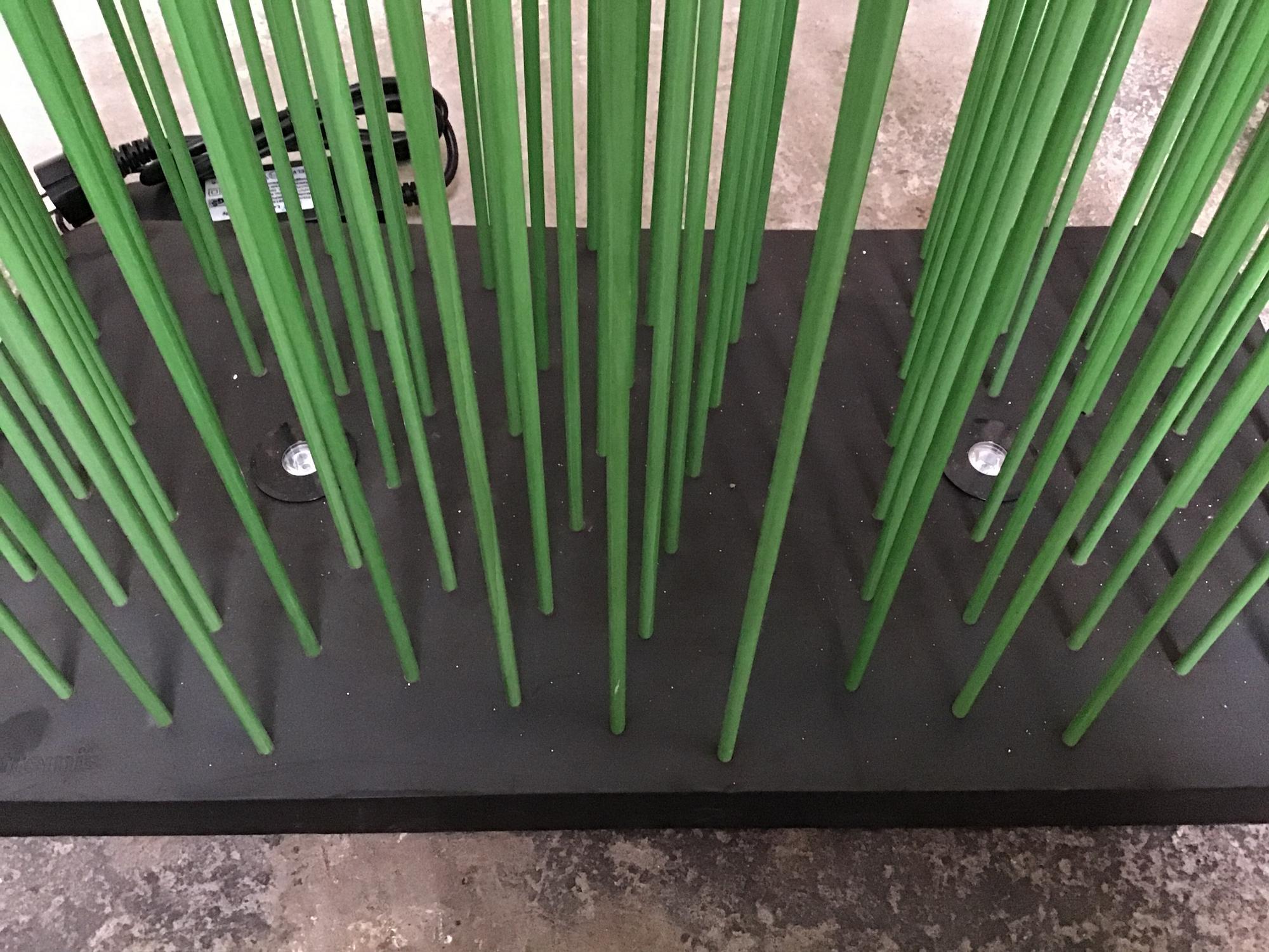 &copy; STICKS_SOCKE1_2.jpg