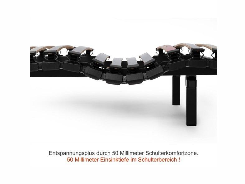 &copy; SWISS15-75ERF_1.jpg