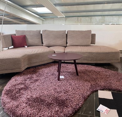 © WING-SAVANNA-_3.JPG