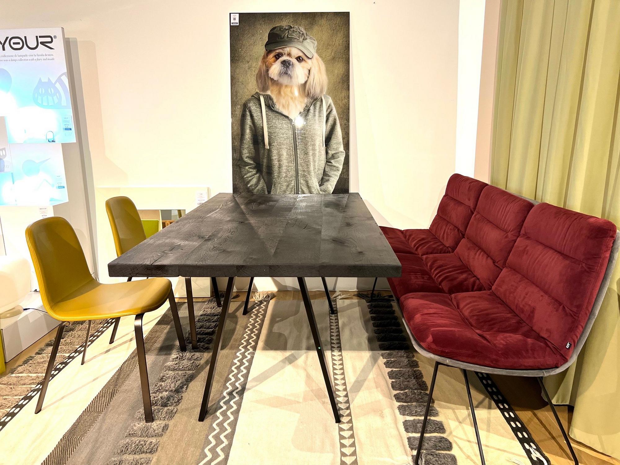 &copy; WMTISCH1750_4.jpg