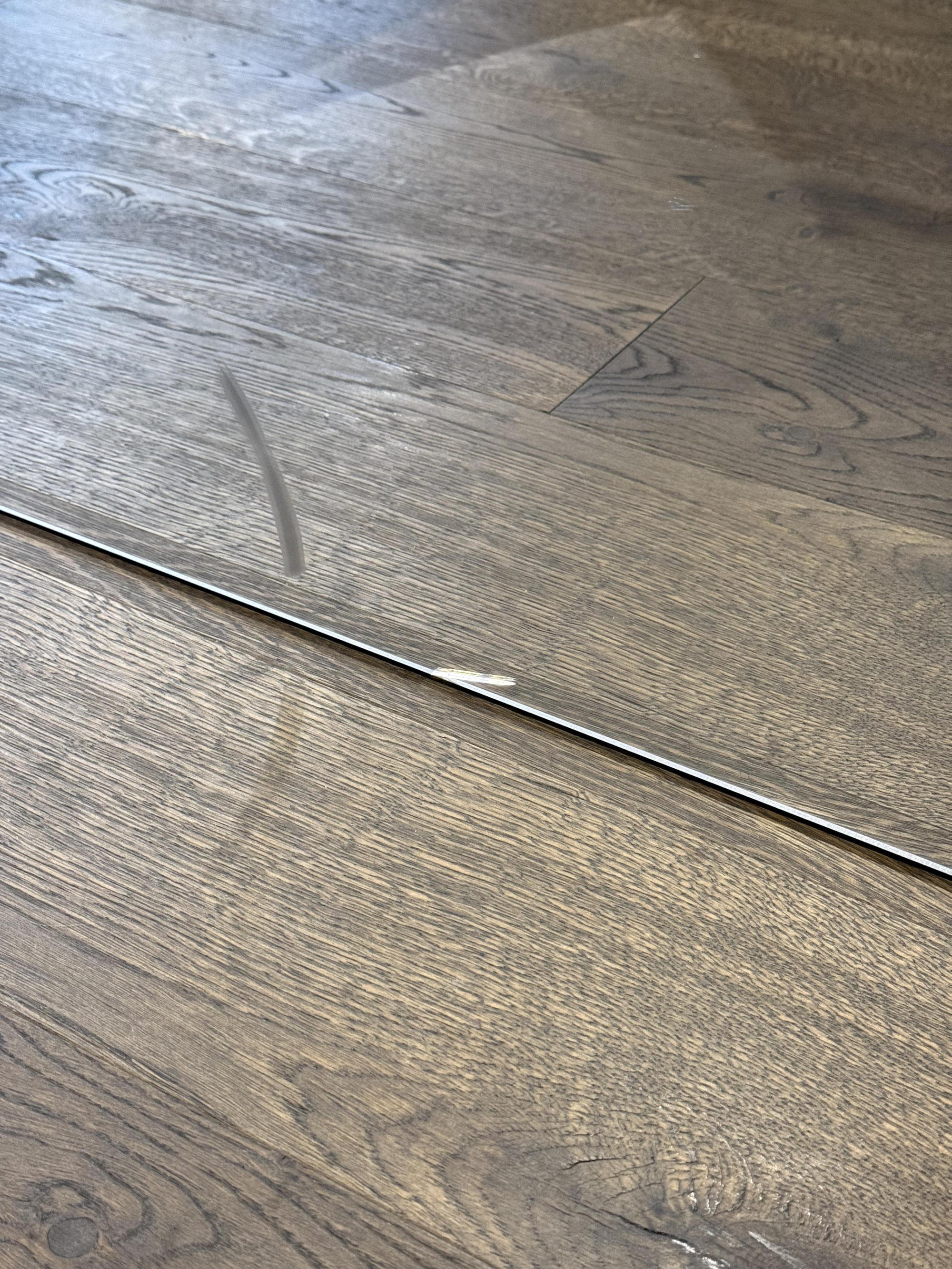 &copy; WMPODEST1_3.jpg