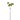 PTMD GARDEN FLOWER