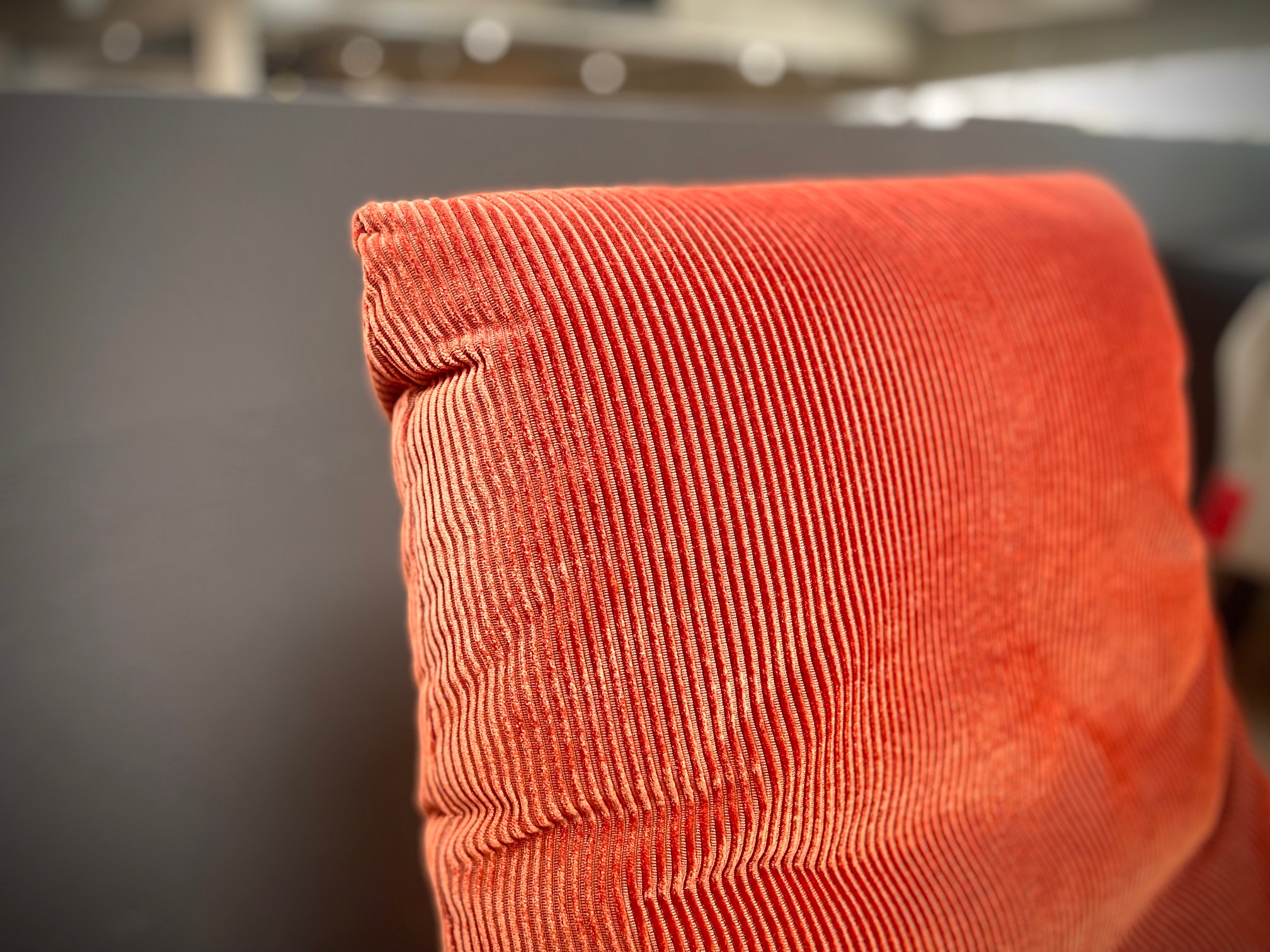 &copy; BULLBABOOTERA_1.jpg