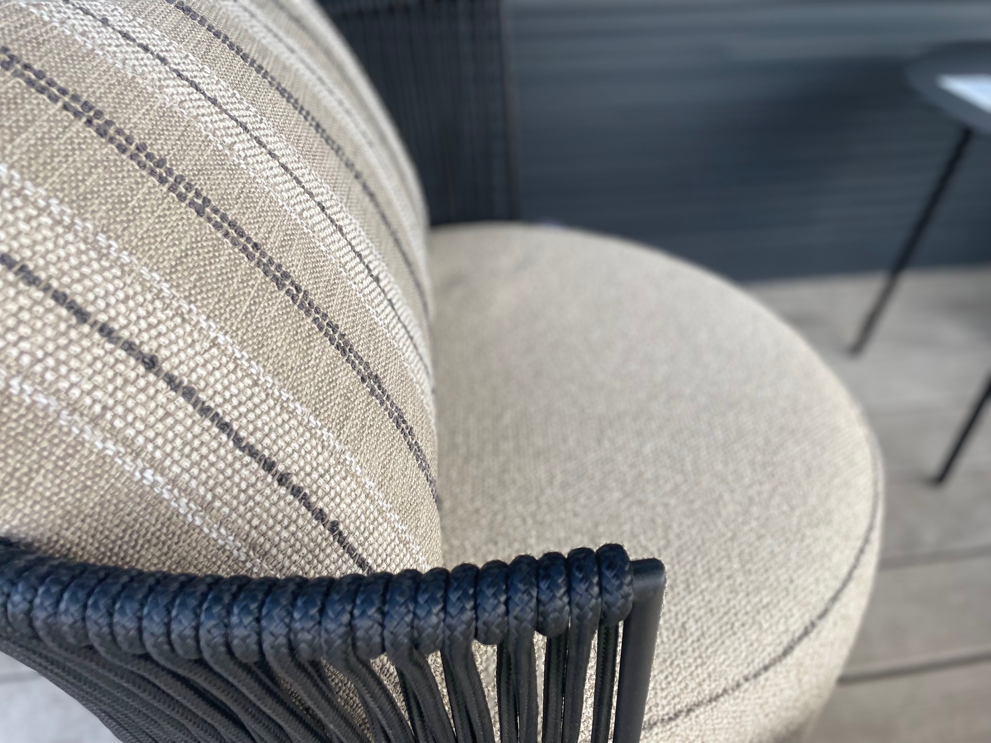 &copy; BULLYAOOD145_1.jpg