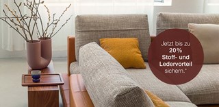 Rolf Benz SINA Sofa